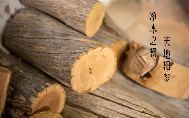 nhang trầm hương Kim ngân dòng gỗ đàn hương Úc Johor Bahru hương trầm 4 giờ hương trầm 12 giờ hương lớn 24 giờ hương phật - Sản phẩm hương liệu vòng trầm bọc vàng