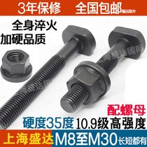 10 9 grade high strength full tooth T type screw T-shape screw screw pressure plate screw bolt M8M12M16M20M24