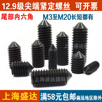 12 9 stage hexagonal tip tip tip tip screw headless screw M3M4M5M6M8M10M12M16