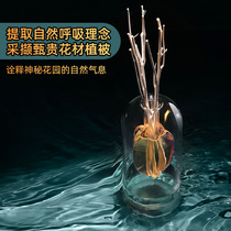 Australia fumare home aromatherapy essential oil water Indoor long-lasting incense Air fresh high-end fire-free room Bedroom