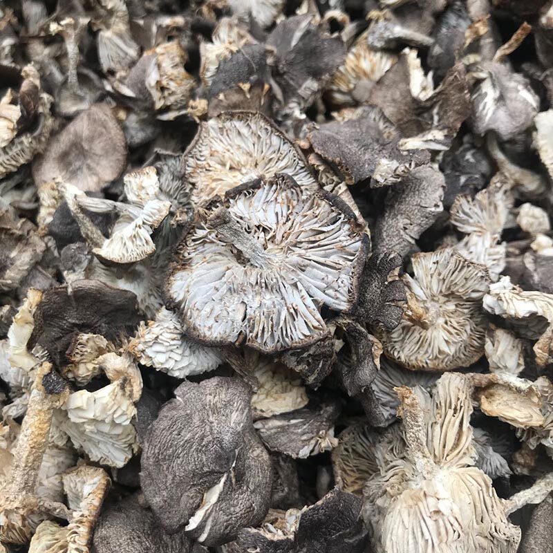 Wild small gray mushroom new goods Chengde grass mushroom shiitake mushroom edible wild mushroom specialty small grass mushroom 250g