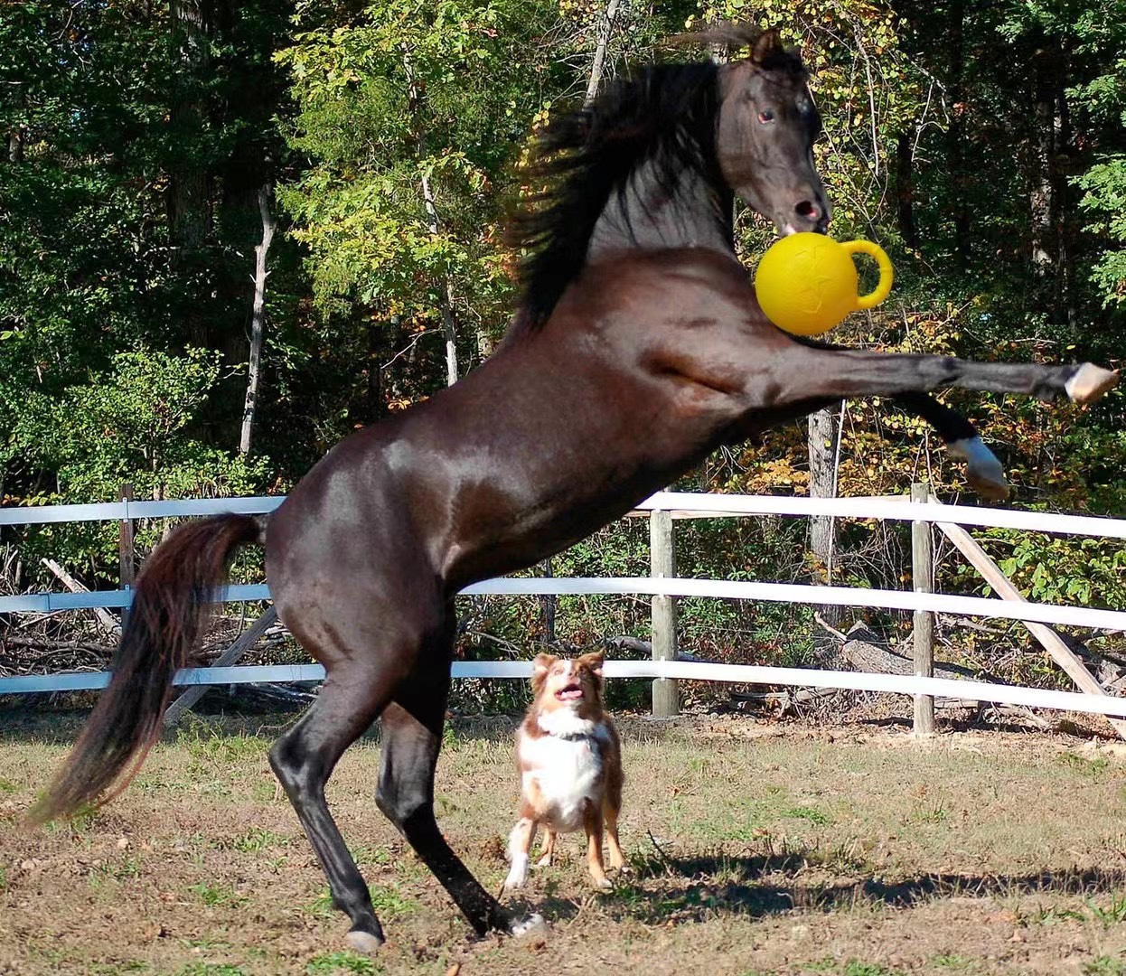 Equestrian equestrian ball horse toy ball horse leather fun ball horse sports ball-Taobao