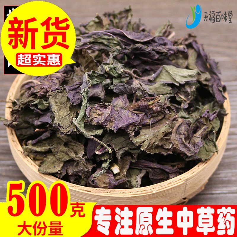 All grass purple su cut wild fresh purple leaf dry sulfur leaf dry tea burned fish and shrimp crab to eat fish and shrimp crab