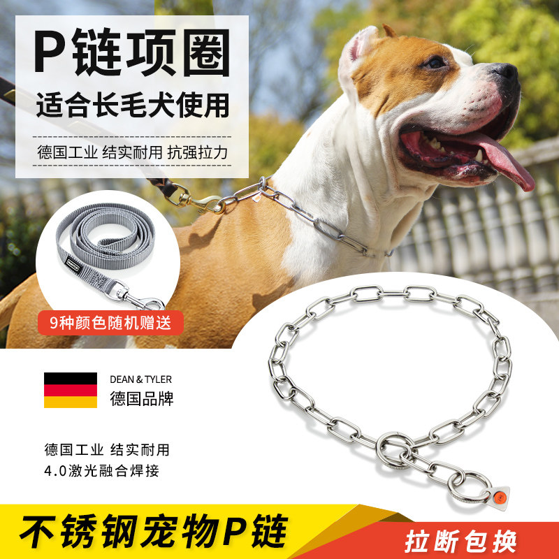 Germany DEAN TYLER LIGHTWEIGHT medium AND short section stainless steel P-chain dog collar Dog ring Dog chain Pet neck ring