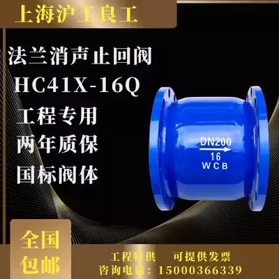 Shanghai Shanghai Gong Good Work H41X-16Q Swing Check Valve Flange Fire Water Check Valve Seiko 50