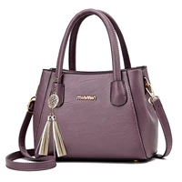 Фиолетовый [обычная картонная упаковка] Соберите сегодня и получите подарок