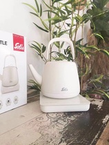 Outlet Long Mouth Electric Kettle Stainless Steel Electric Kettle Hand Flush Pot Thermostats Insulation Burning Kettle Small Capacity Villa