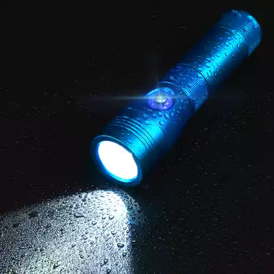 Scuba diving flashlight underwater 100 m Photography fill light waterproof LED light searchlight night fishing light
