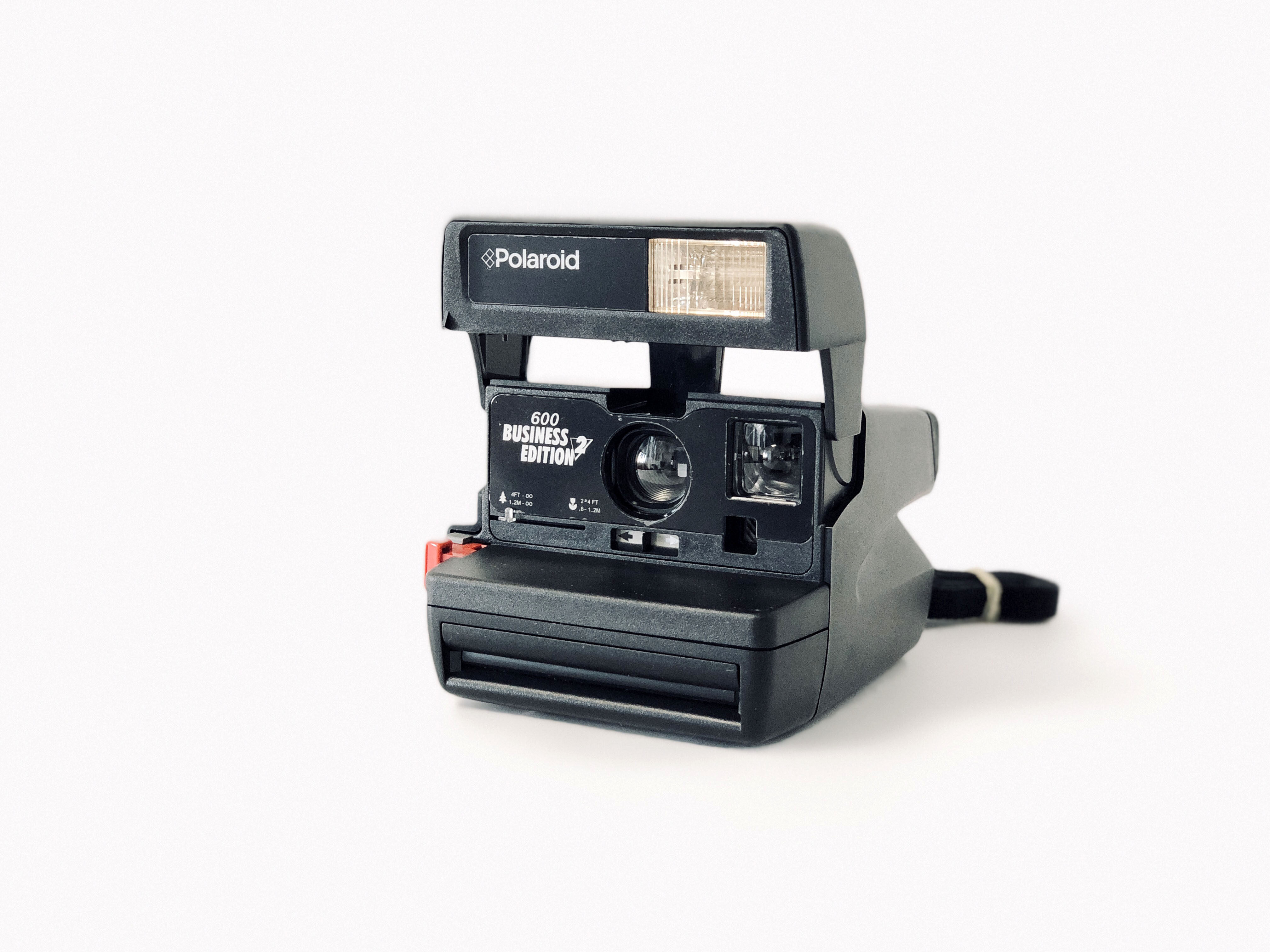 Polaroid Pauli comes to 600 business edition 2 to make a single imaging