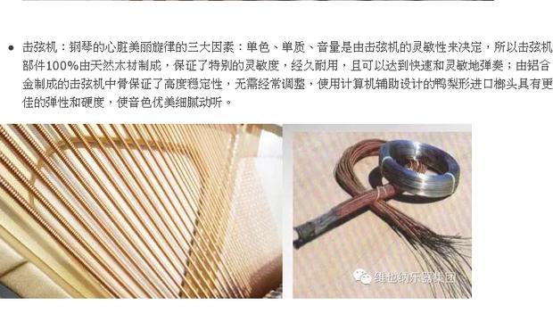 Authentic grand grand grand GP-170 gia đình quý tộc sang trọng dạy piano chất lượng cao chơi piano roland rd 700