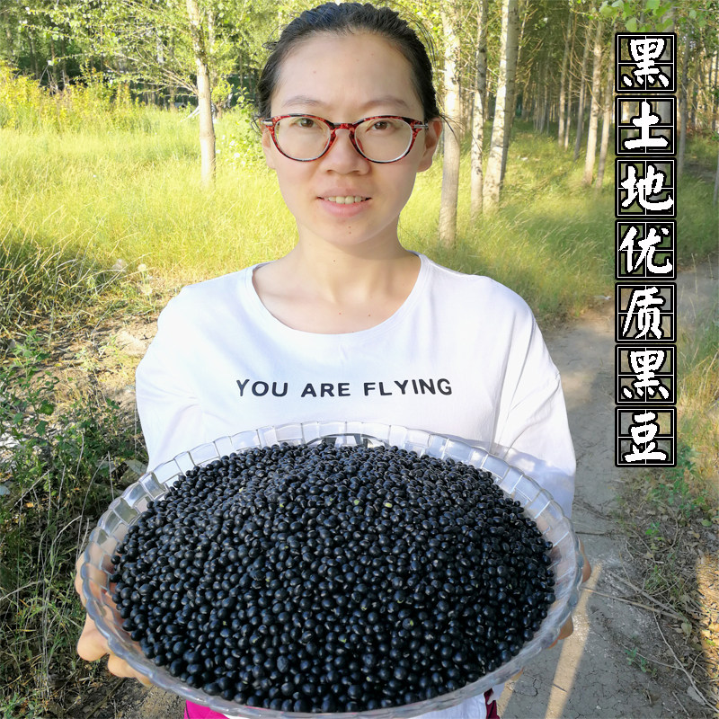 Green Core Black Bean Northeast farmhouse self-produced black bean cacao grain 250g Heilongjiang Terproduce large grain green heart black bean