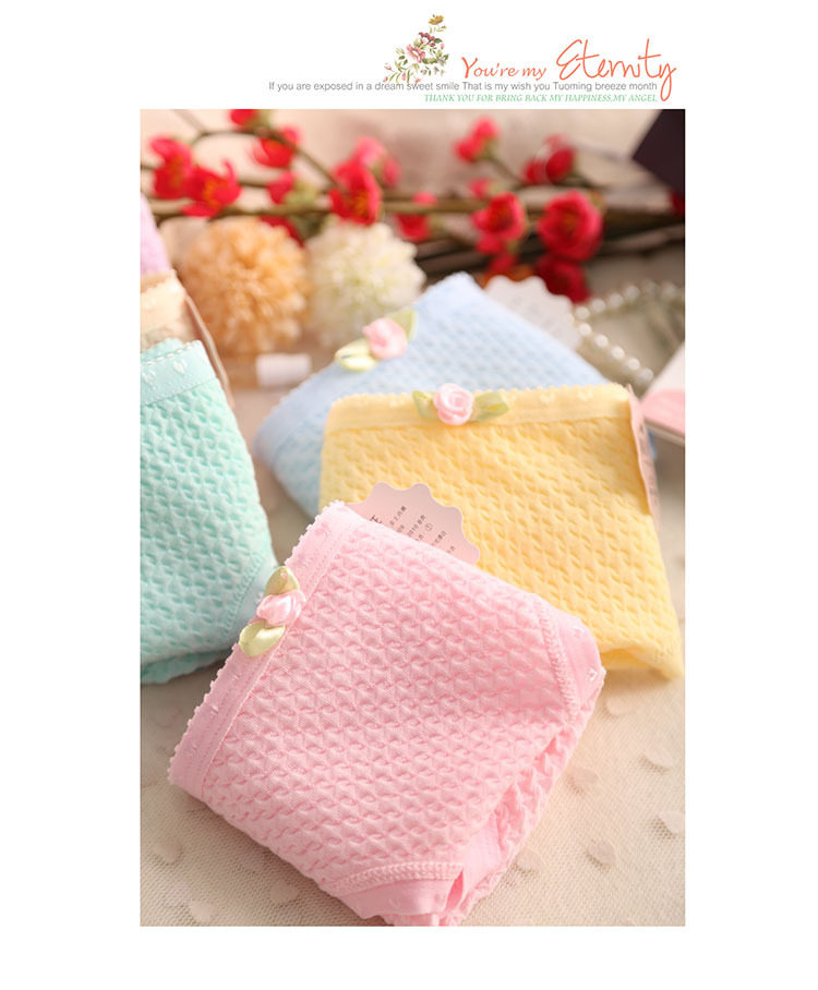 Slip D006 en coton - Ref 646510 Image 10