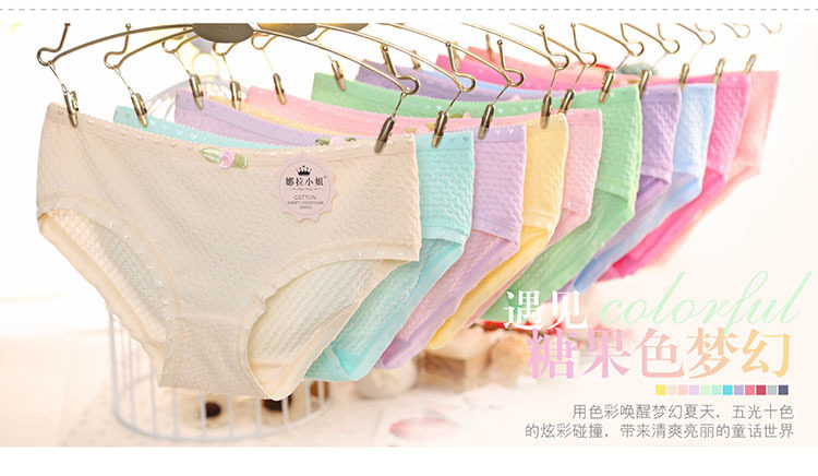 Slip D006 en coton - Ref 646510 Image 9