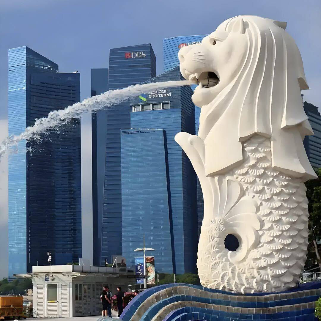 新加坡代购小新
