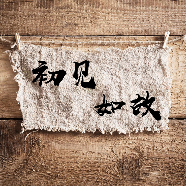 初见如故