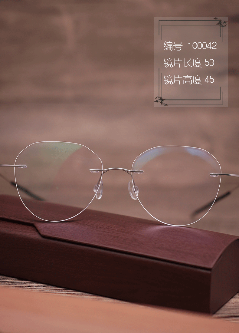 Montures de lunettes en Titane pur - Ref 3140924 Image 16