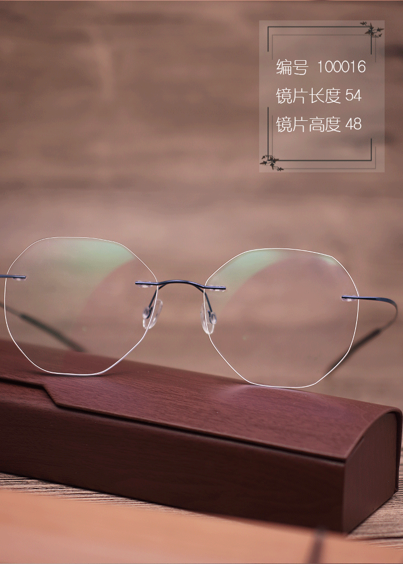 Montures de lunettes en Titane pur - Ref 3140924 Image 19