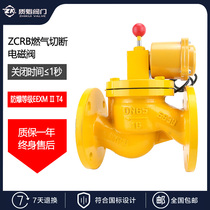 ZCRB gas DN25 gas 32 electromagnetic 40 emergency shut-off valve 50 explosion-proof 65 gas control valve 80-300