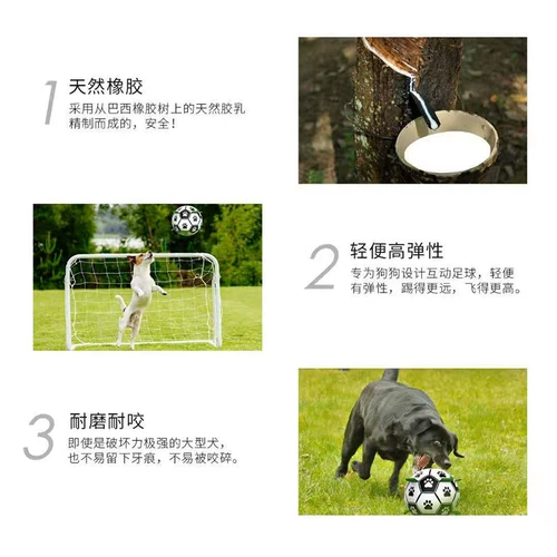 Интерактивная игрушка, футбольный прыгучий мяч для тренировок, домашний питомец, избавление от скуки