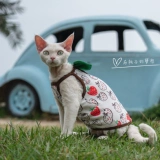 Гингрейн безволосой кошка Camisole German Cat Одежда кошка чистое хлопковое бамбуковое уплотнение качество листьев