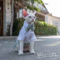 GINGERAIN spring summer heavy industry pet cat clothes German hairless cat anti wrinkle skirt uniform dress Cedar