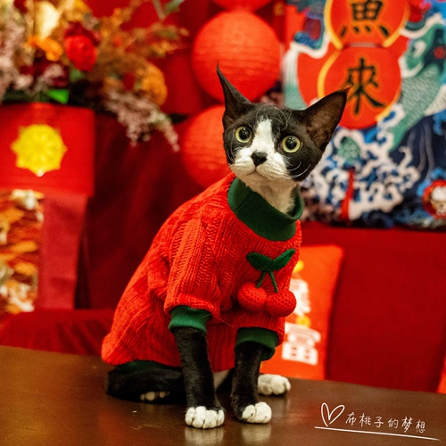 Gingrain Немецкая одежда для кошек, безволочная кошка Abida Короткие новогодние смайлики вязаный теплый свитер