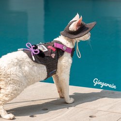 GINGERAIN ຕັ້ງແຄ້ມນອກແບບ Cowboy Cat Harness Leash Set German Hairless Cat Vest