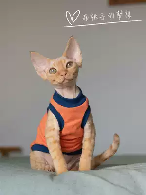 GINGERAIN GERMAN CAT CLOTHES SPHINX hairless CAT Koenig Tianzhu cotton All-cotton thin