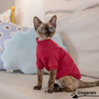 Розовая голубая точка