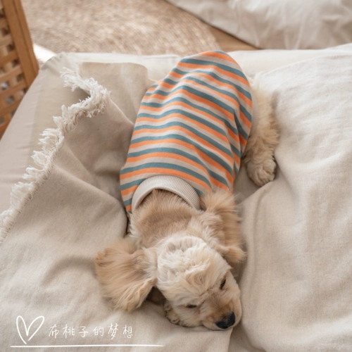 Карта Gingrain Dogye Teddy Jizi Doll Berlier Barrog Dog Clothing Spring и осень -тонкая полосатая полоса