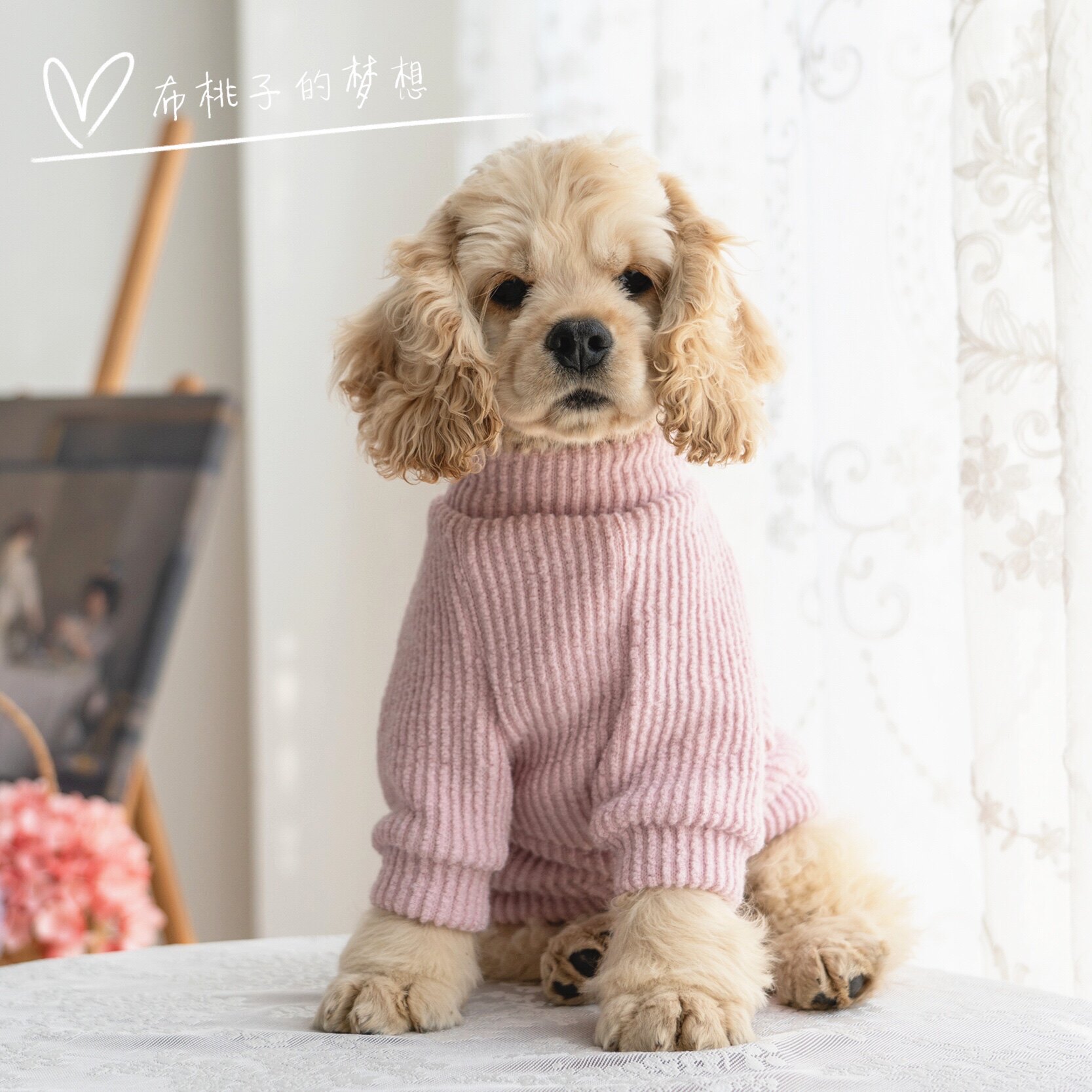 GINGERAIN Cocker Spaniel Teddy Bichon Dog Clothes Spring and Autumn Dress with Warm Bottom Long Sleeve Sweater