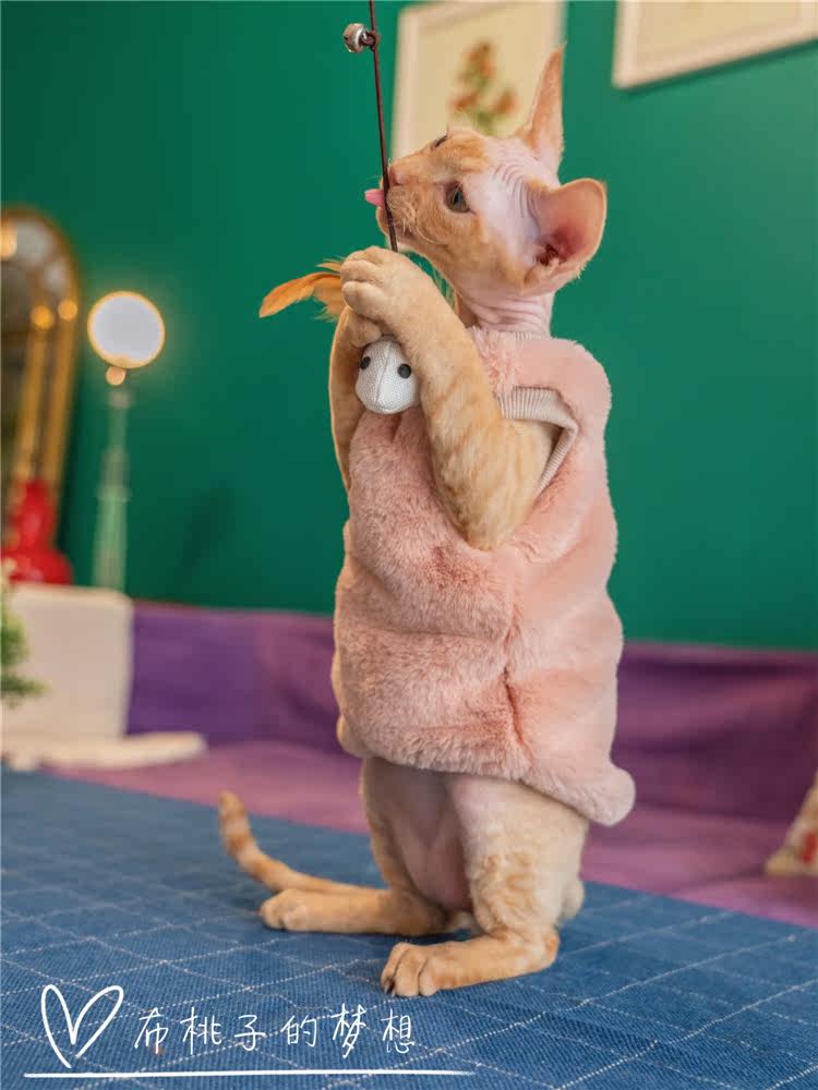 GINGERAIN DEVON CAT CLOTHES SPHINX HAIRLESS CAT Ke IMITATION leather Grassase RABBIT fur coat