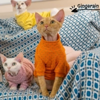 Зеленые пятна оранжевого дна