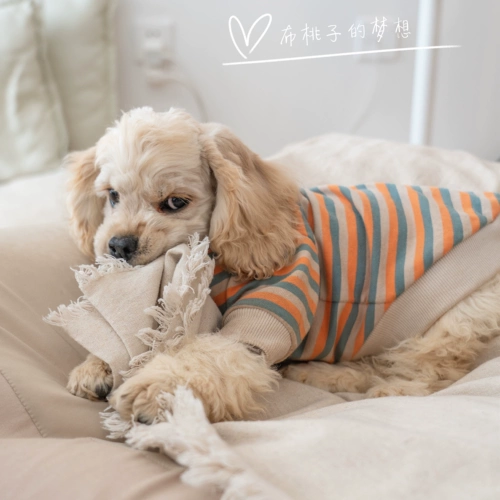 Карта Gingrain Dogye Teddy Jizi Doll Berlier Barrog Dog Clothing Spring и осень -тонкая полосатая полоса