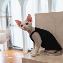 GINGERAIN German cat clothes hairless cat sling Guinea cotton cotton breathable belly vest
