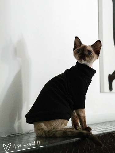 Гингрэйн безволосая одежда для кошки немецкая одежда для кошки, спонтанное жар, грязь, хорошая промывка, нет деформации внутри