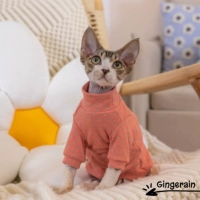 Фонд зеленые пятна