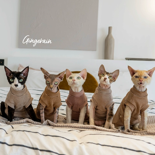 Gingrain Немецкая одежда для кошки безволосы