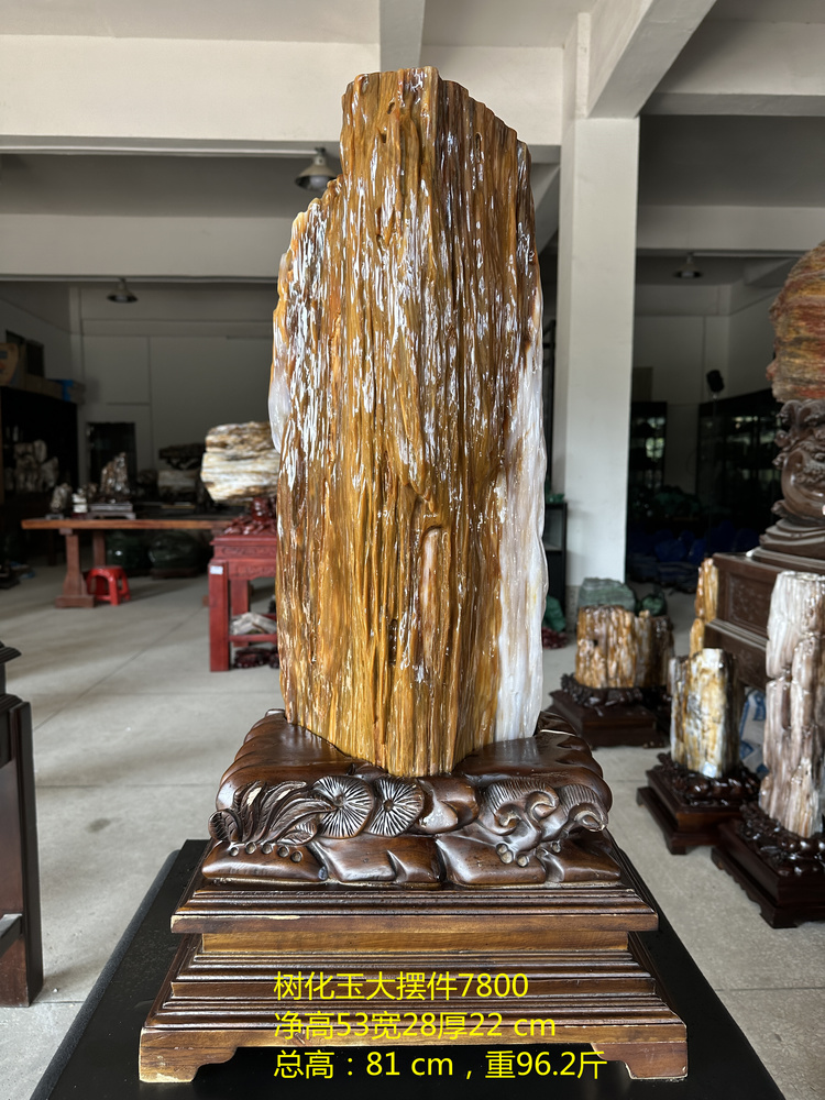 Natural Myanmar Tree-shaped jade pendulum wood Stone Original Stone Silico Wood Wooded Jade Tree Fossil Chite Ornamental Stone Gift-Taobao