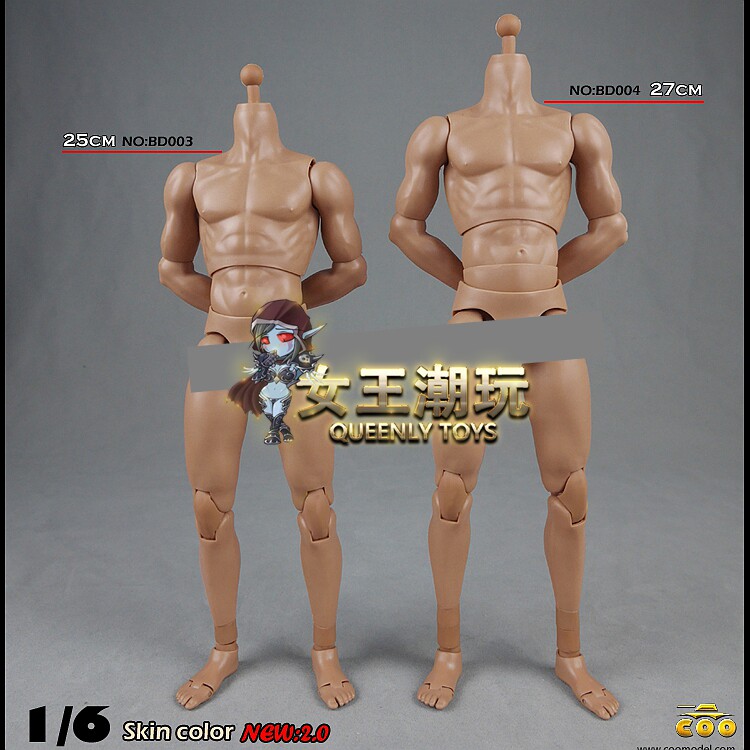 Spot COOMODEL 1 6 Muscle Type 2 0 Men BD003 Male Hypertense BD004