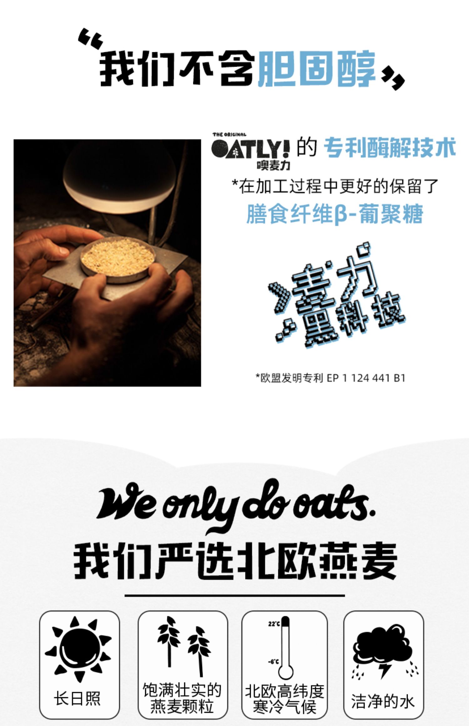 Oatly燕麦奶网红植物蛋白饮料