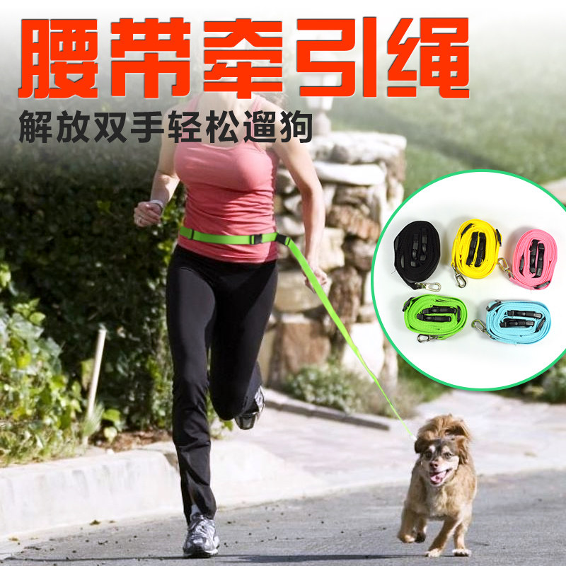 Running Chain 2016 New Belt Sports Rope 2 5cm Dog Chain Walking Dog Nylon Rope