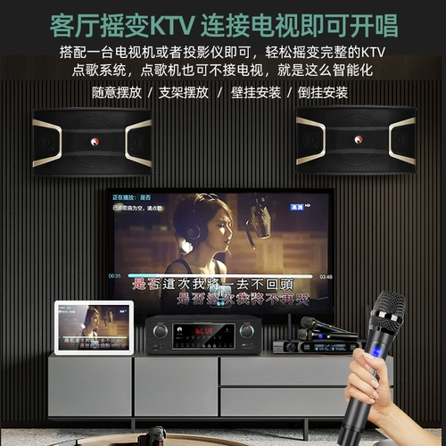 Shen Shi Ma-800 Family KTV Audio Set плагин-модуль портал Портал Полный Дом Профессионал K Singing Lang Singing