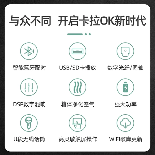 Shen Shi Ma-800 Family KTV Audio Set плагин-модуль портал Портал Полный Дом Профессионал K Singing Lang Singing