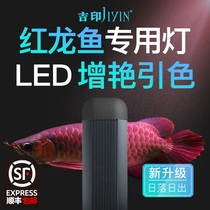 Jiyin dragon fish color light red dragon fish tank special light LED light waterproof professional lighting color light