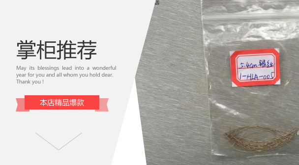 AXON/MD 银丝/银线1-HLA-005（1包5根，每根5cm长）