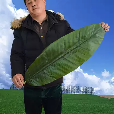 Simulation of banana leaves hand-sensitive glue leaves fake banana leaves banana leaves refrigerator display decoration stage props green leaves