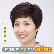 Wig Woman Short Hair Middle Aged Mom Real Hair Lady Full Headgear Natural Fluffy Realistic Live-action Hair Wig Sleeve