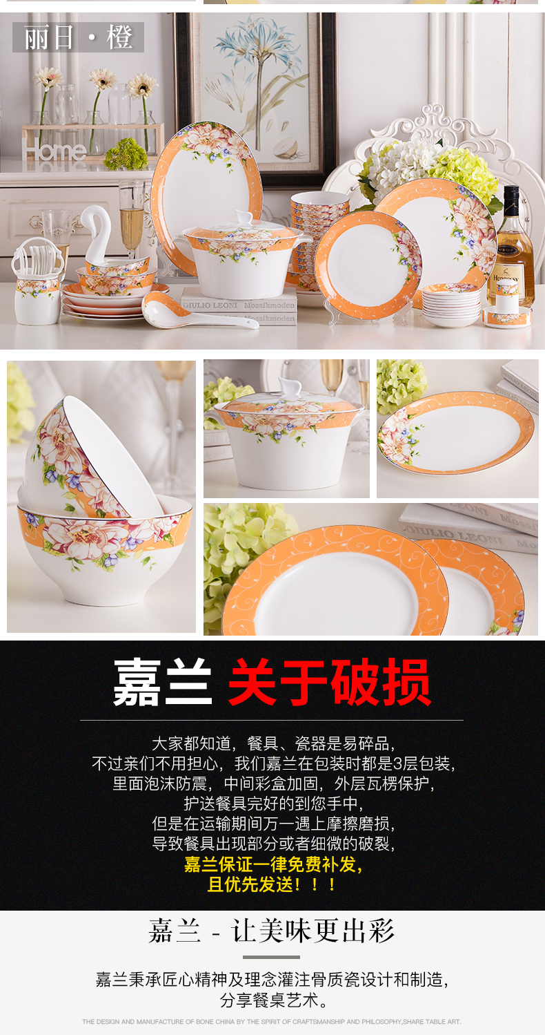 Garland 56 head ipads porcelain tableware suit northern rural western tableware ceramic dish dish 10 people combination of gifts