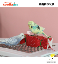 Parrot nibbling toys Christmas candy suitable for small bird tiger skin peony Xuanfeng foraging bite
